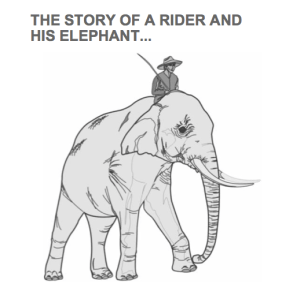 Elefant_rider