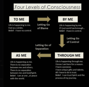 4 levels of conciousness