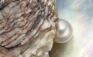 Natural-Pearls